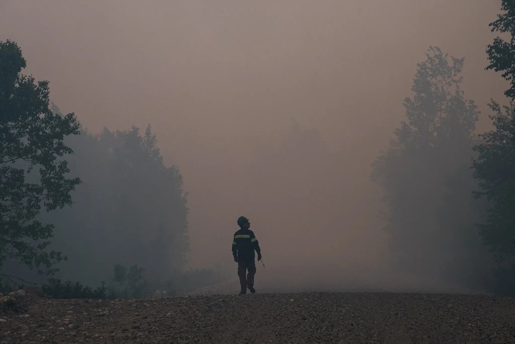 The Everlasting Impacts of Canada’s&nbsp;Wildfires