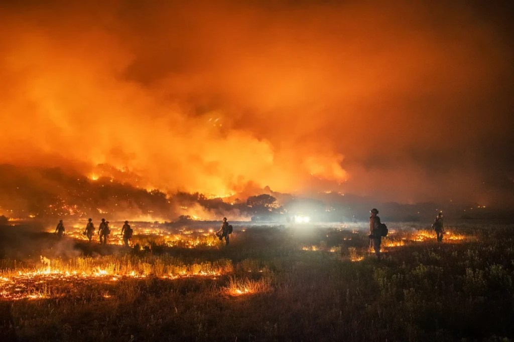 What to Know About the Maui&nbsp;Wildfires
